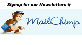 MailchimpLogo ns